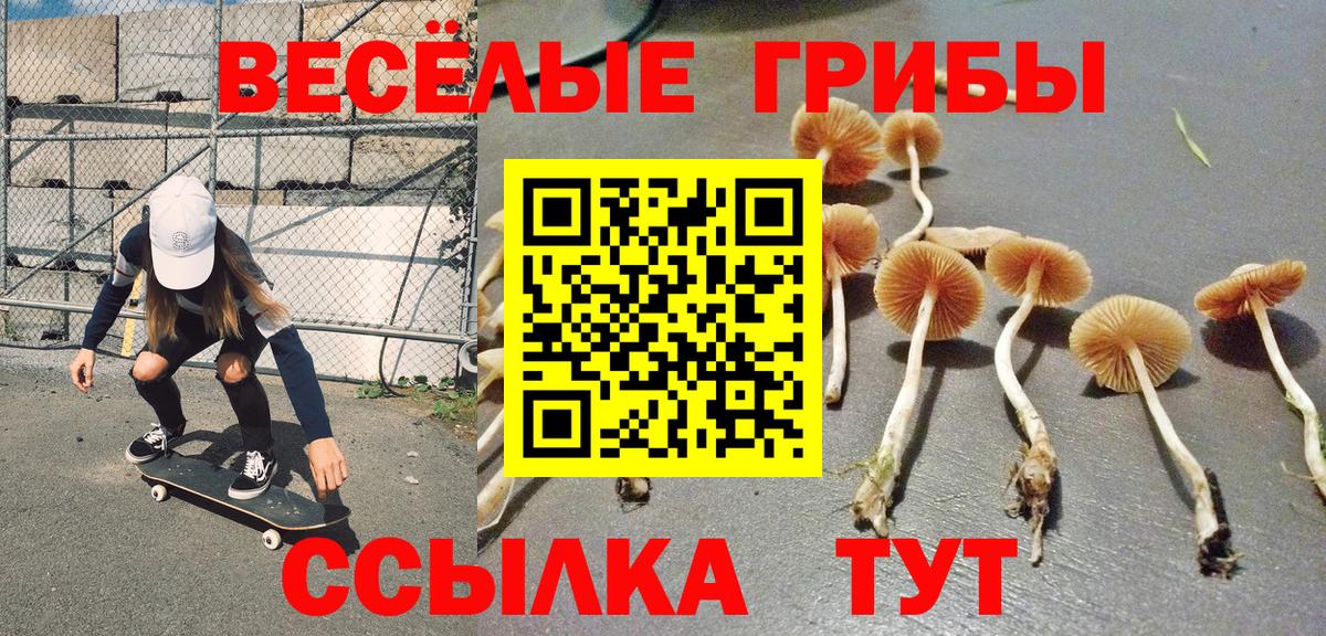 Галлюциногенные грибы MAGIC MUSHROOMS  Псилоцибиновые грибы Psilocybe  Вход с VPN  Красный Сулин 