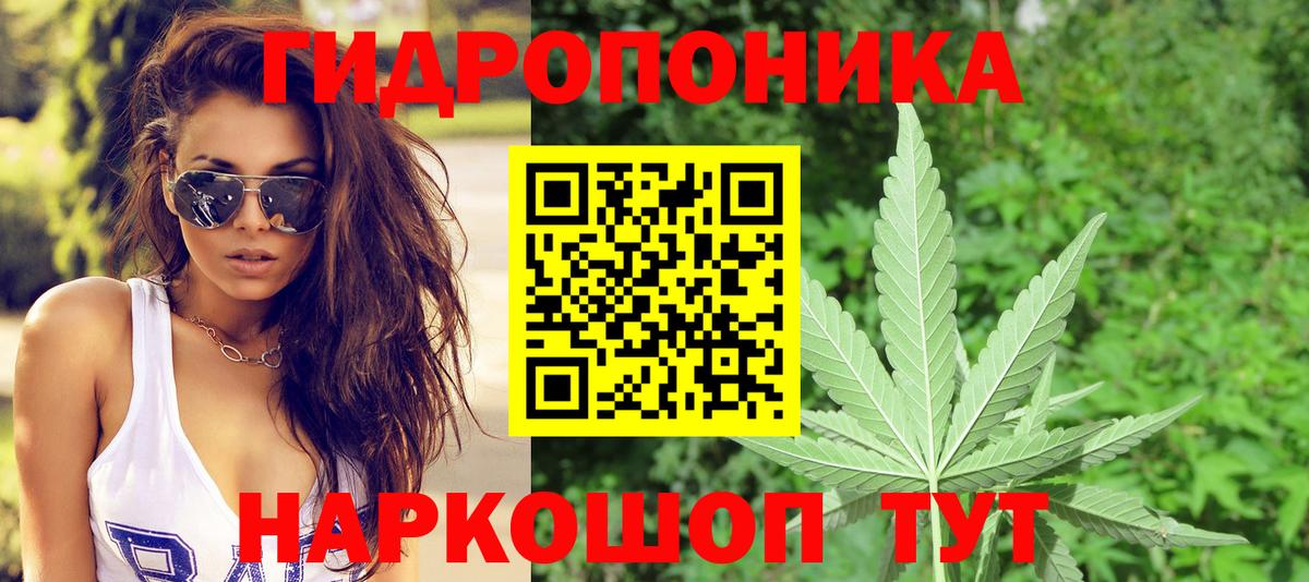 Бошки Шишки Amnesia Красный Сулин